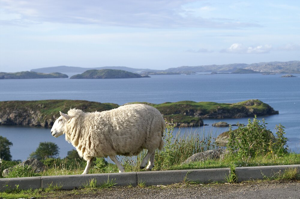 Ecosse