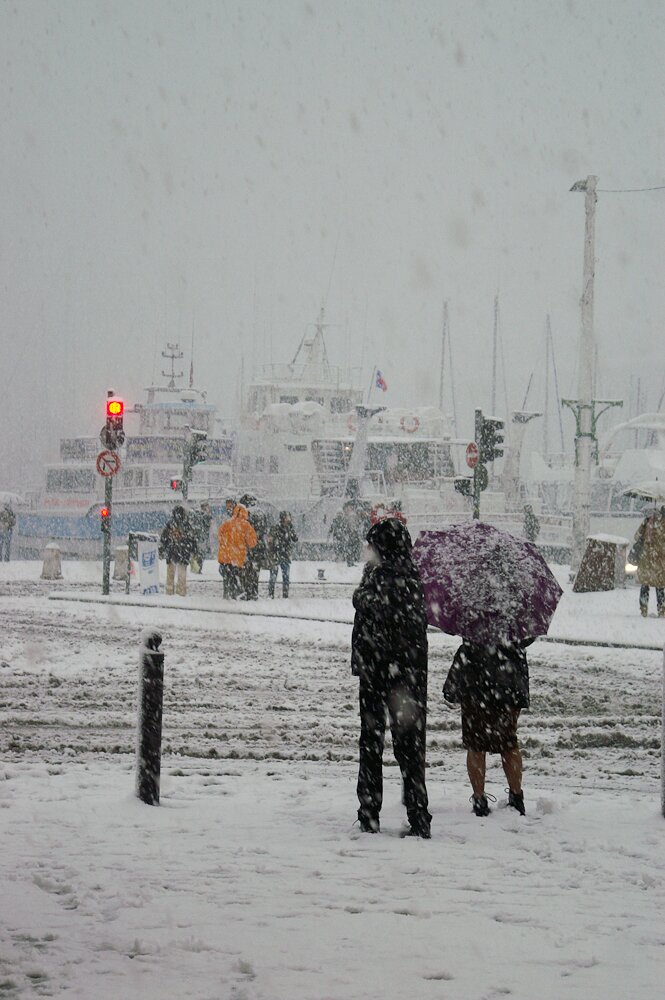 Vignette de la galerie Marseille in the snow